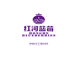 红河蓝莓区域公用品牌设计
