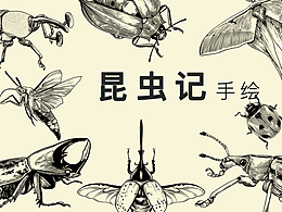 昆虫记线描合集