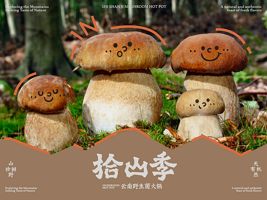 拾山季 | 云南野生菌火锅品牌全案设计