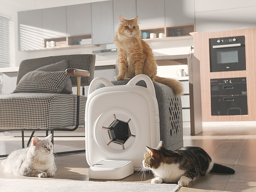 PawSwing自动猫毛梳理器