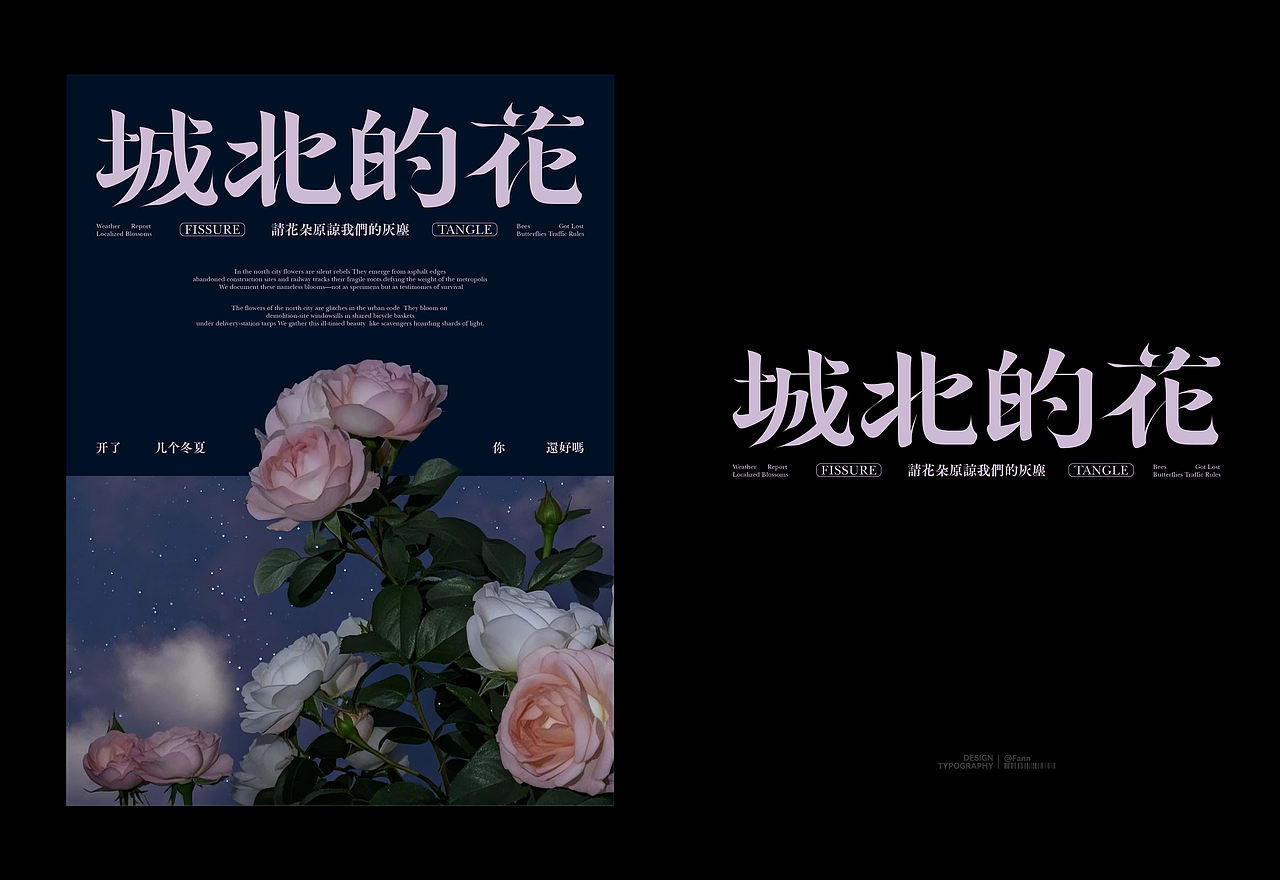 字体设计&海报设计 TYPEFACE POSTER（图ZMzg5NjM1OTI0） - 字体/字形 - 站酷设计师泛泛Fann原创素材 - 站酷ZCOOL