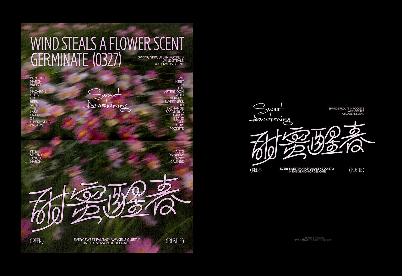 字体设计&海报设计 TYPEFACE POSTER（图ZMzg5NjM1OTcy） - 字体/字形 - 站酷设计师泛泛Fann原创素材 - 站酷ZCOOL