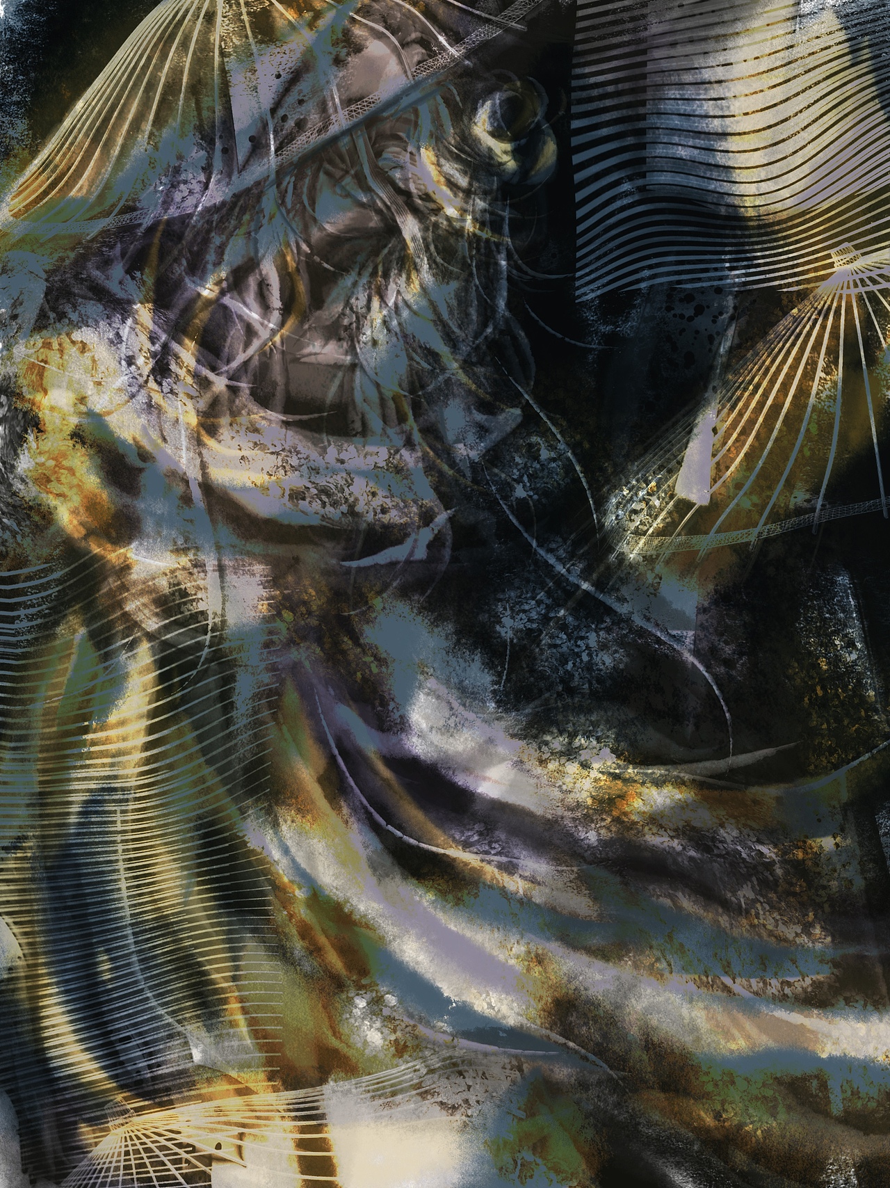 被骗，但是绝度不会再被骗