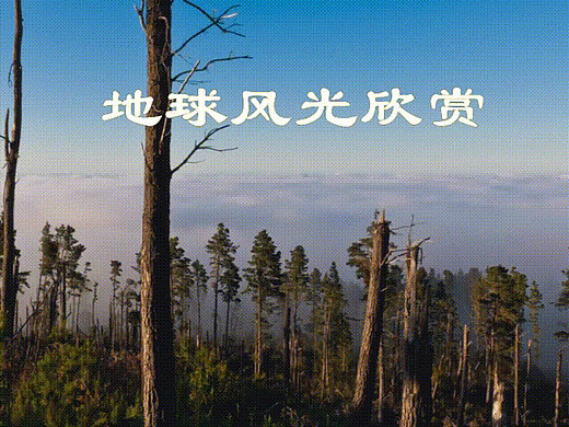 Premiere数字音视频作品集