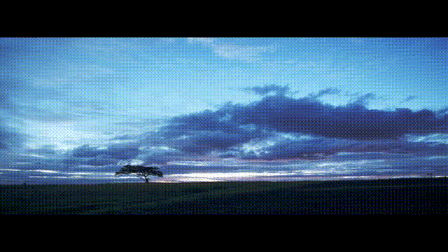 Premiere数字音视频作品集