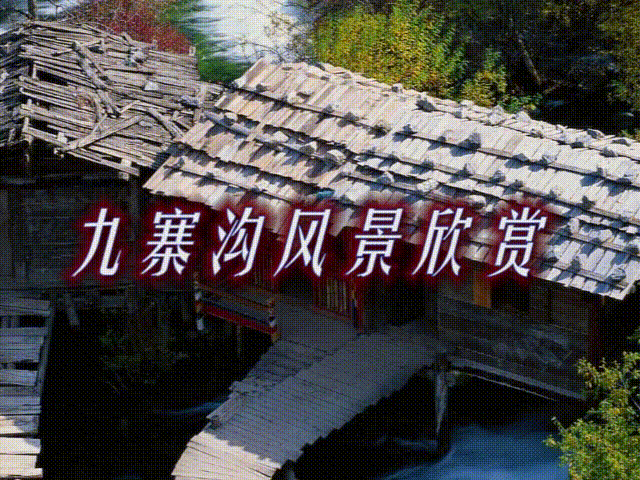 Premiere数字音视频作品集