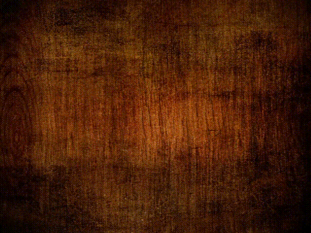 Premiere数字音视频作品集