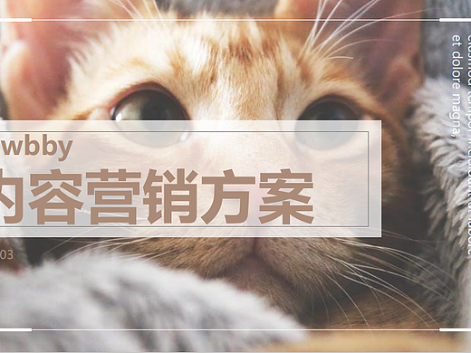 2025Pawbby宠物用品品牌新媒体运营内容营销