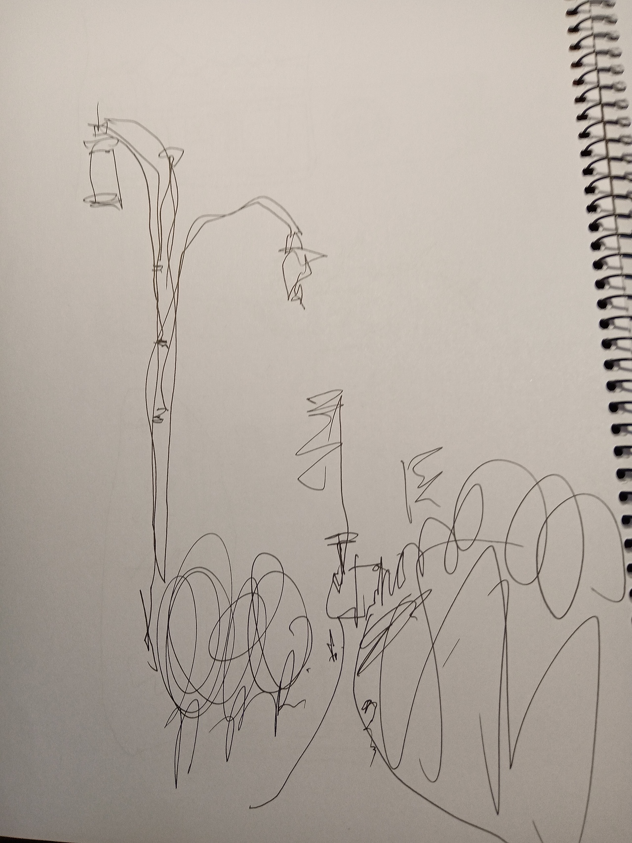 新化资江风光带速写