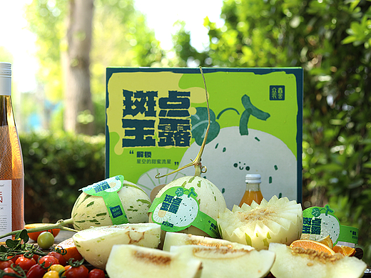 流星玉露甜瓜&果乐兜农场 自然光下的甜瓜