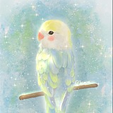 长尾山雀Design的头像