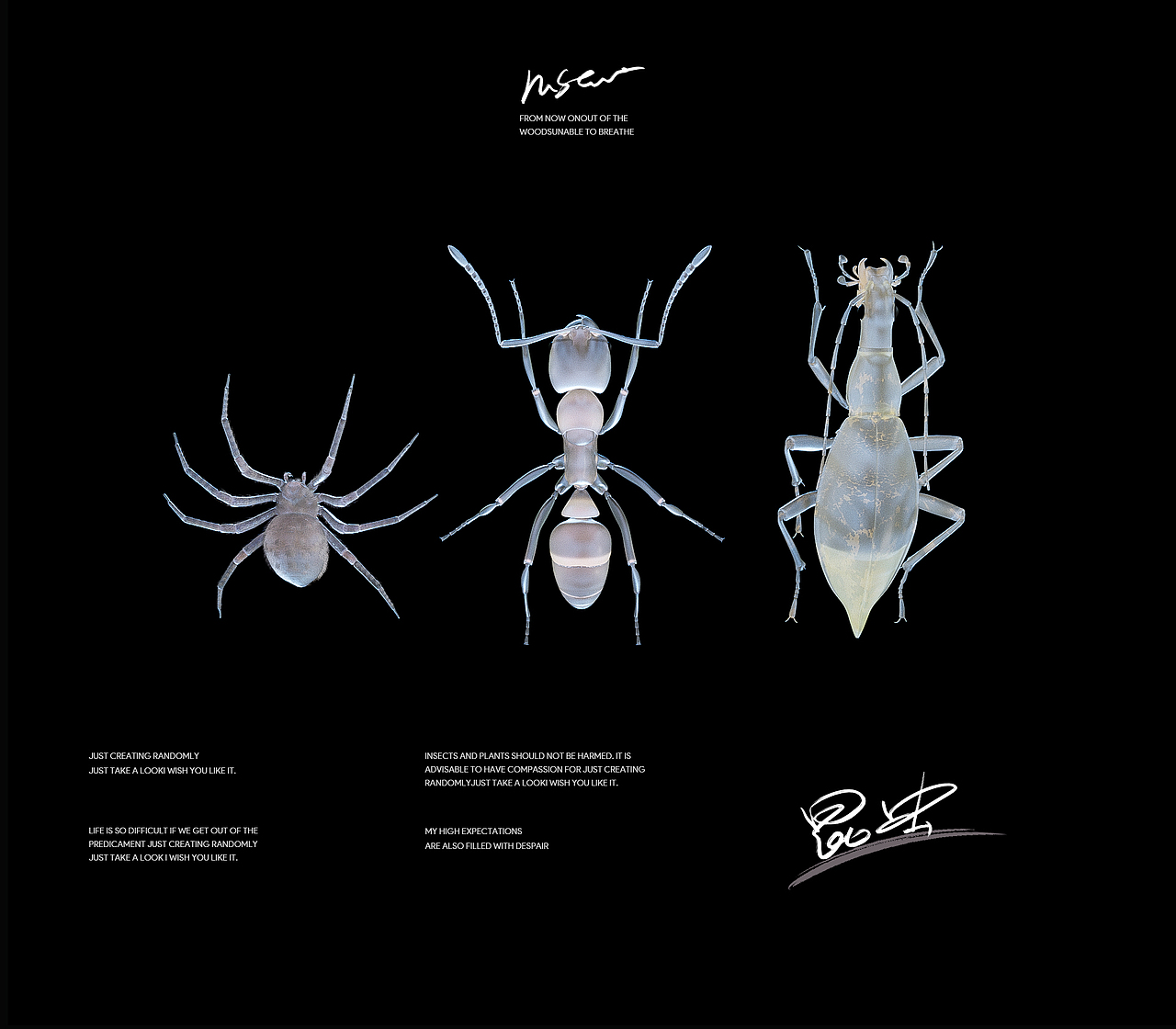 C4D OC渲染场景·做设计不如去割猪草