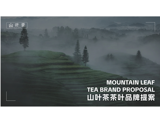 山叶茶-茶叶品牌提案