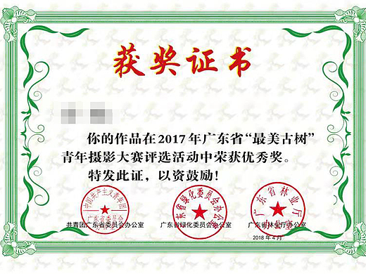 参加“最美古树”青年摄影大赛荣获优秀奖