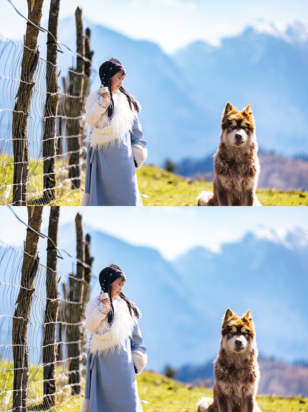 阿拉斯加和她的故事