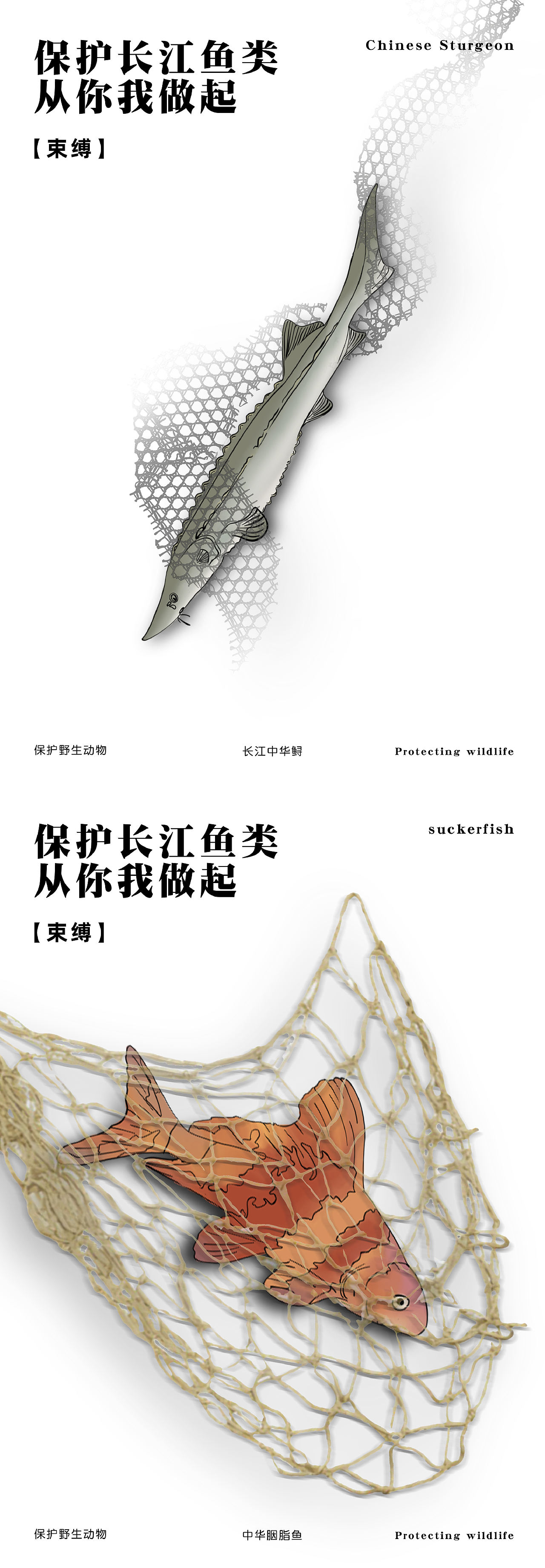 环境保护视角下的三峡水利工程信息可视化设计(图ZMzg5NzE5MjA0) - 信息图表 - 站酷设计师日系少年八嘎酱原创素材 - 站酷ZCOOL