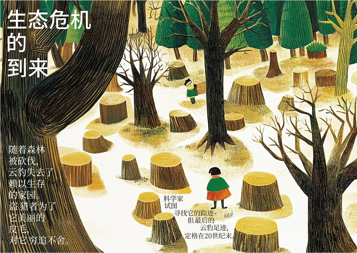 台湾云豹立体书籍绘本设计