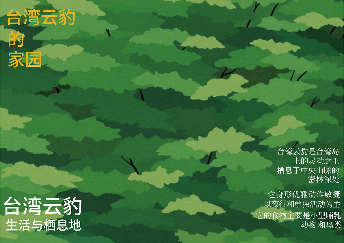 台湾云豹立体书籍绘本设计