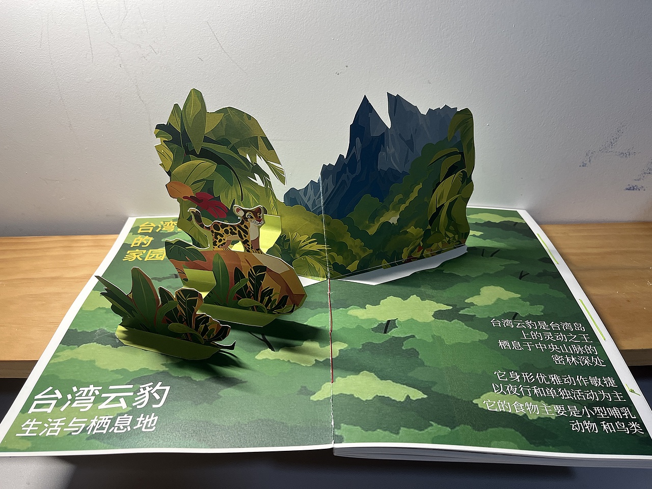 台湾云豹立体书籍绘本设计