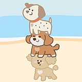 爱心小狗朋友们的头像