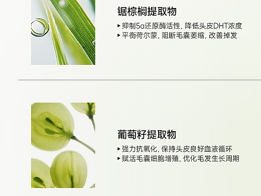 锯棕榈 养发胶囊