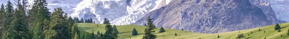 桃叶柳上尖的个人主页（封面预览） - 主页封面设置 - 站酷设计师桃叶柳上尖原创素材 - 站酷ZCOOL