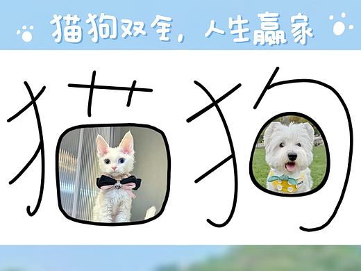 猫猫狗狗-手写文字边框