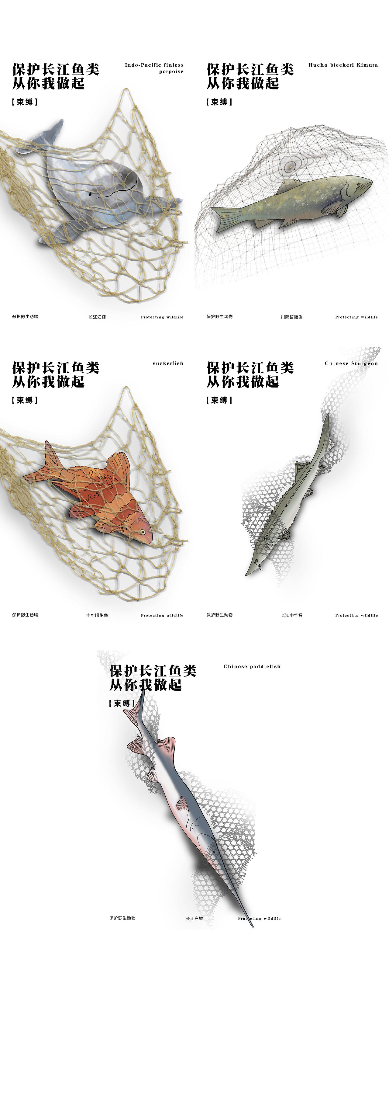 环境保护视角下的三峡水利工程信息可视化设计(图ZMzg5Nzg1MTA4) - 信息图表 - 站酷设计师日系少年八嘎酱原创素材 - 站酷ZCOOL
