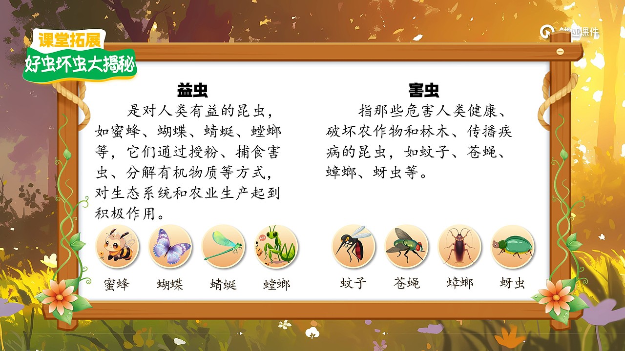 小学语文公开课课件《棉花姑娘》