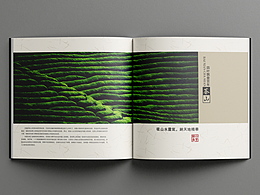 搬砖日记  |  茶叶画册设计