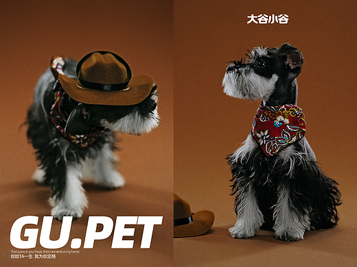 我虽然是个牛仔，在酒吧只喝牛奶