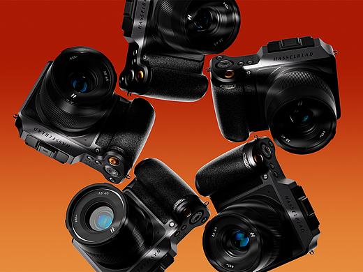 哈苏X1D-50C丨Stylized Rendering