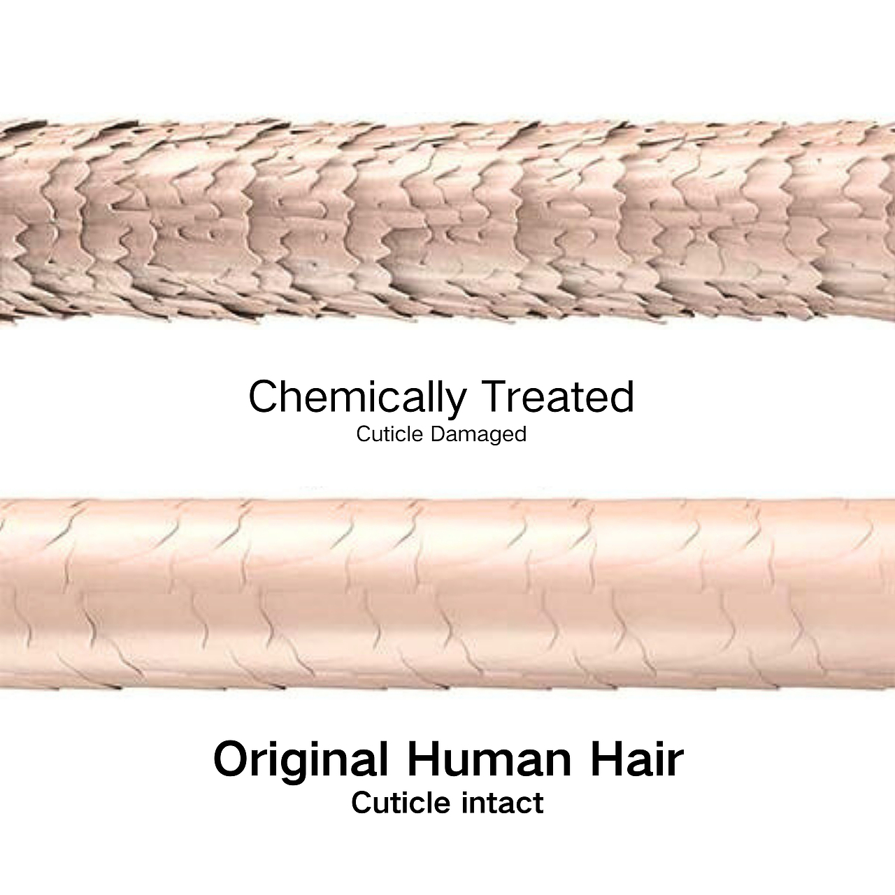 假发高级产品详情（图ZMzg5ODU0NzAw） - 海报 - 站酷设计师半块冰糖原创素材 - 站酷ZCOOL