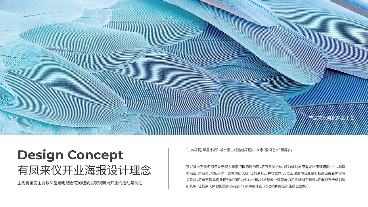 有凤来仪--桐乡万象汇主视觉