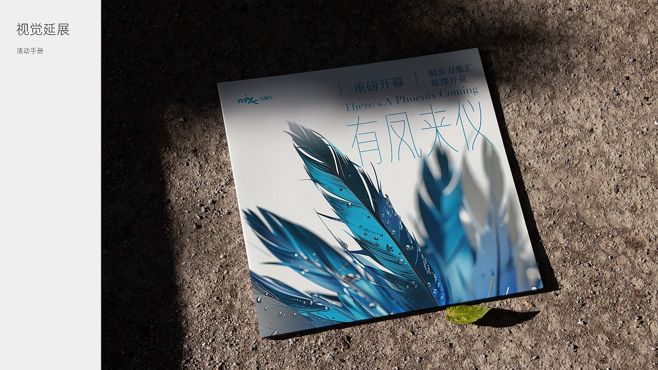 有凤来仪--桐乡万象汇主视觉