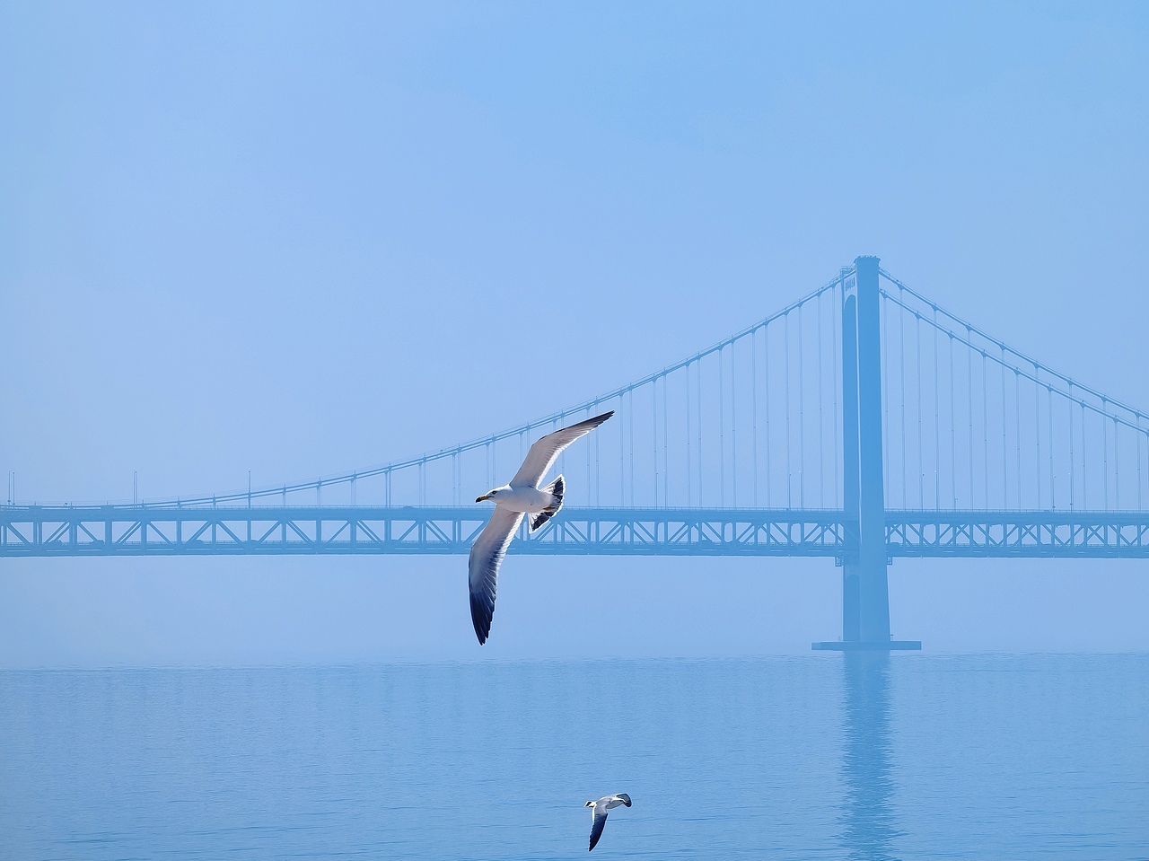 去码头整点薯条吃