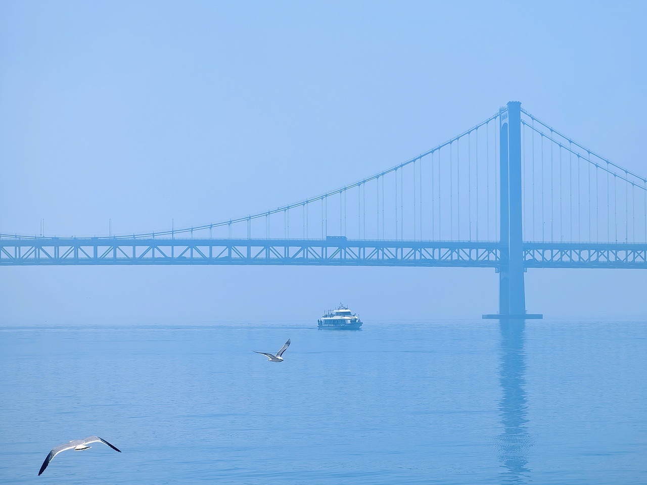 去码头整点薯条吃