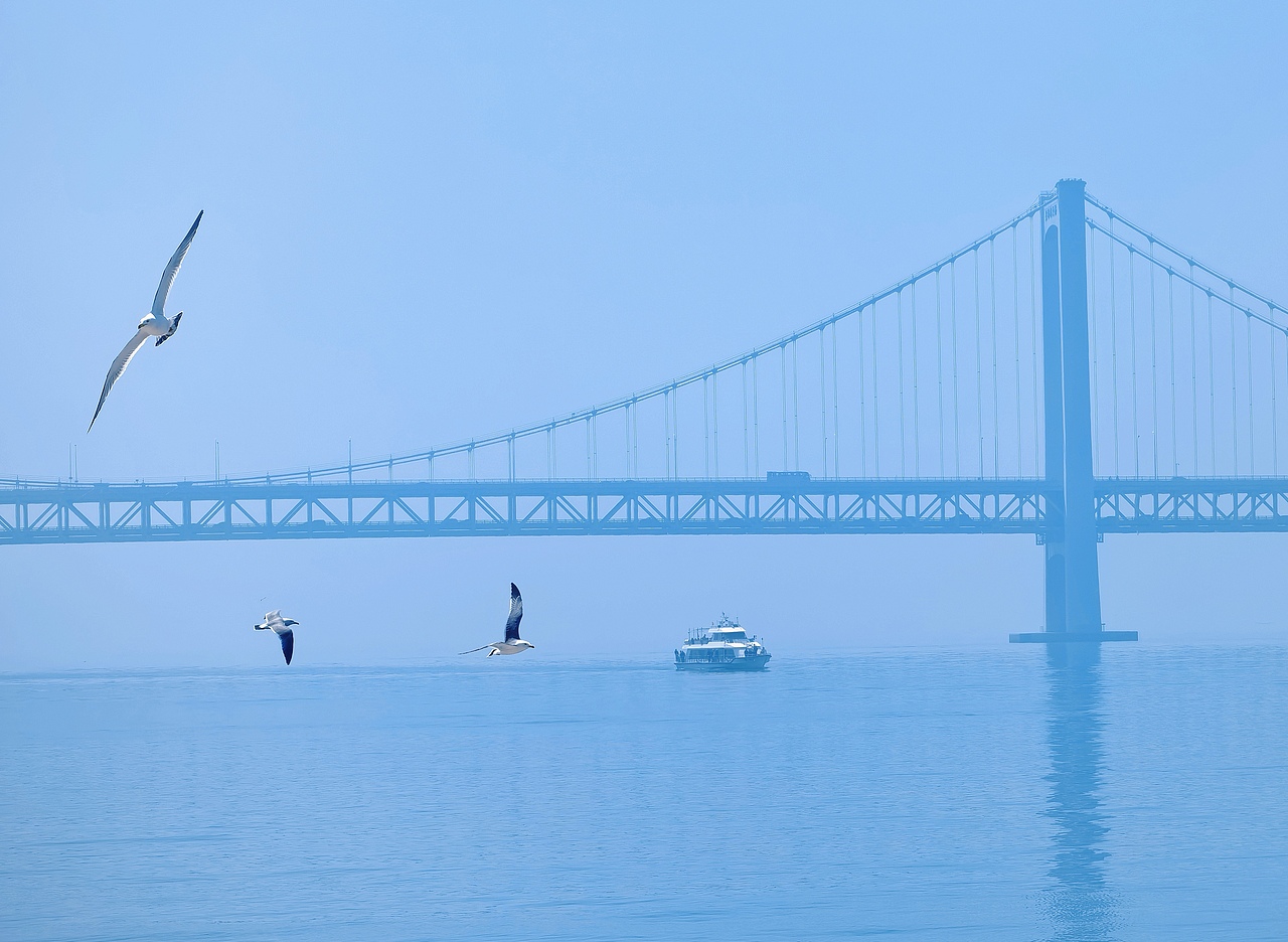 去码头整点薯条吃