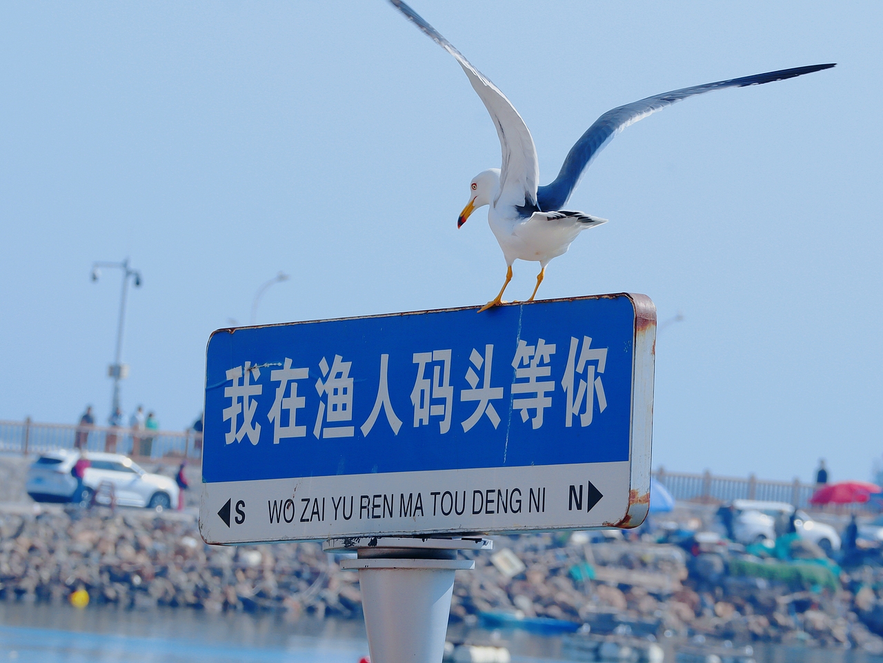 去码头整点薯条吃