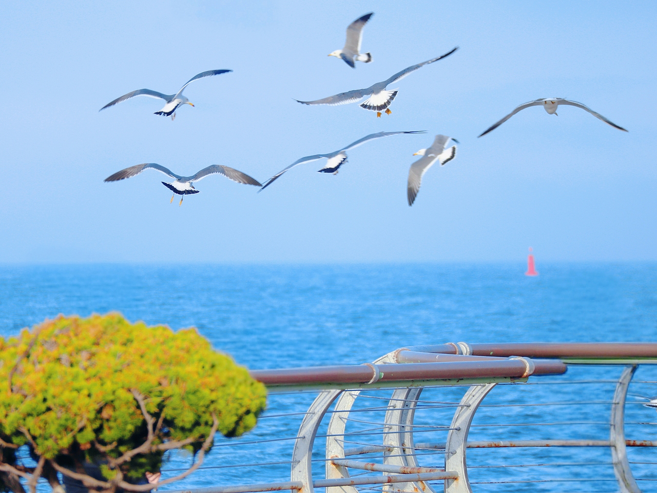 去码头整点薯条吃