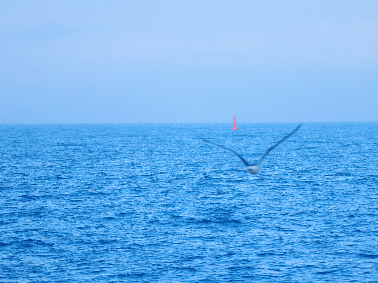 去码头整点薯条吃