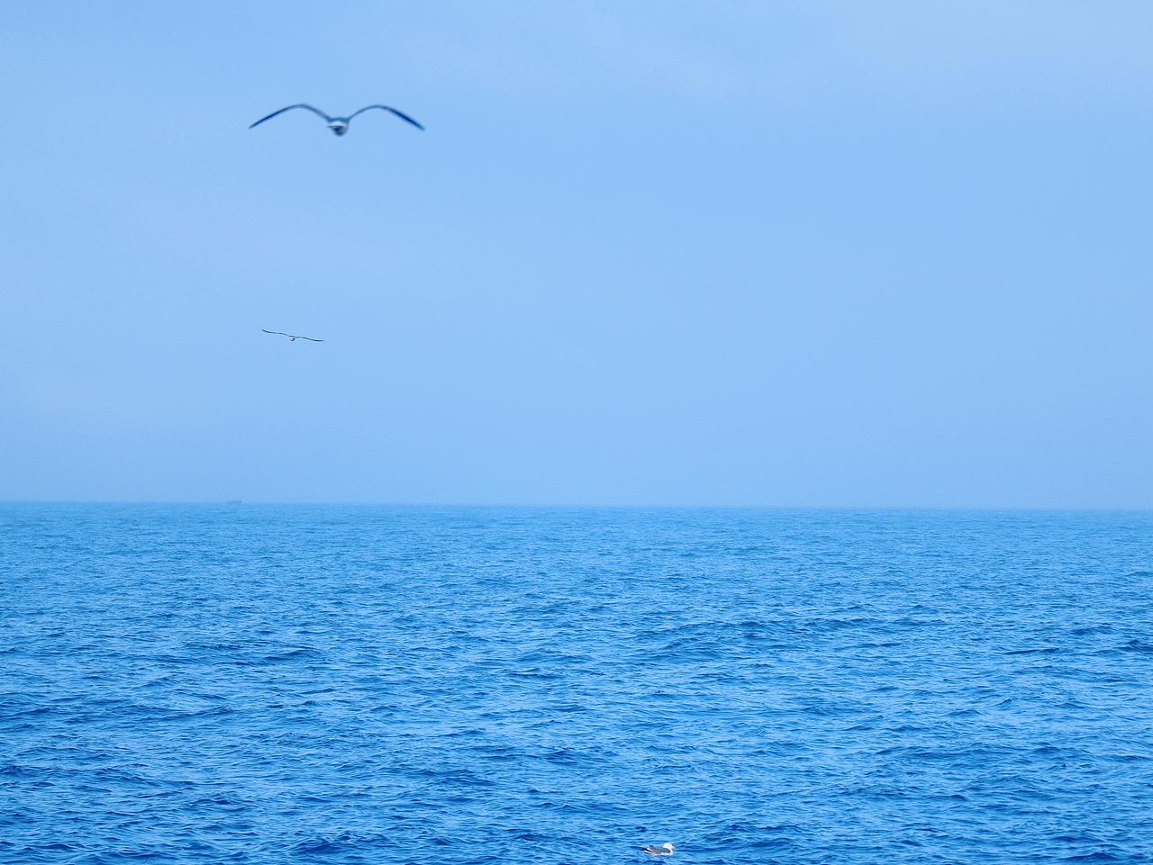 去码头整点薯条吃