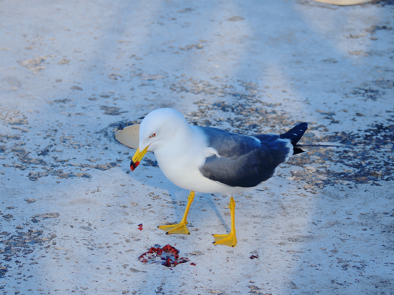 去码头整点薯条吃