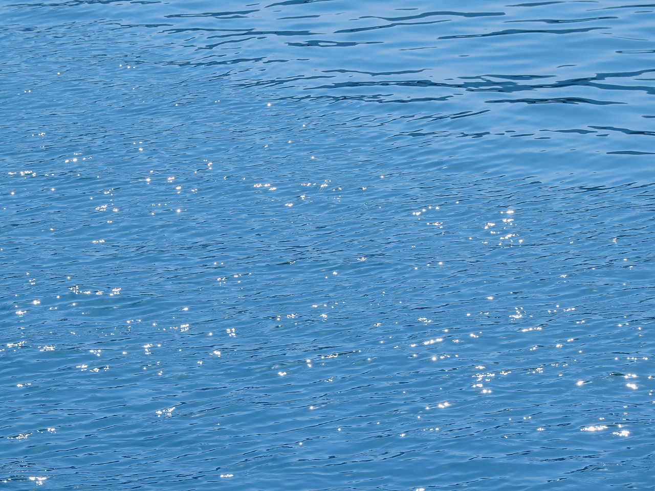 去码头整点薯条吃