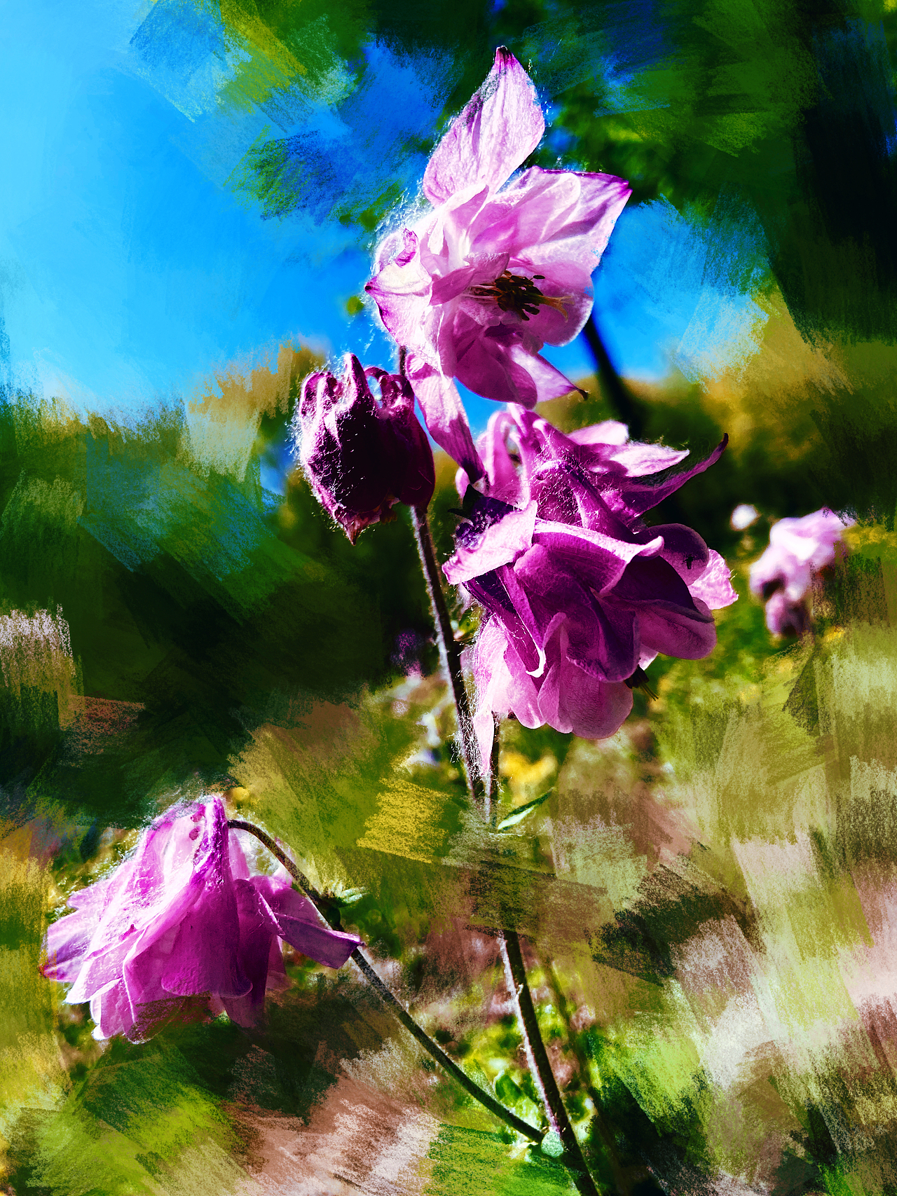 刘勇良油画风格摄影新探索：芳华