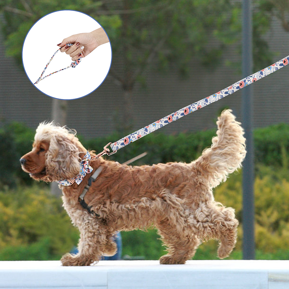 亚马逊狗狗用品主图