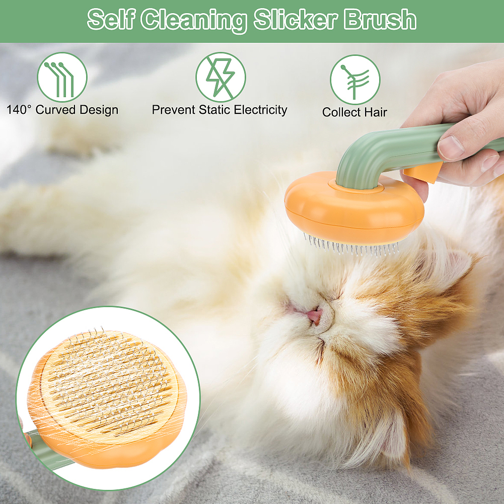 亚马逊狗狗用品主图