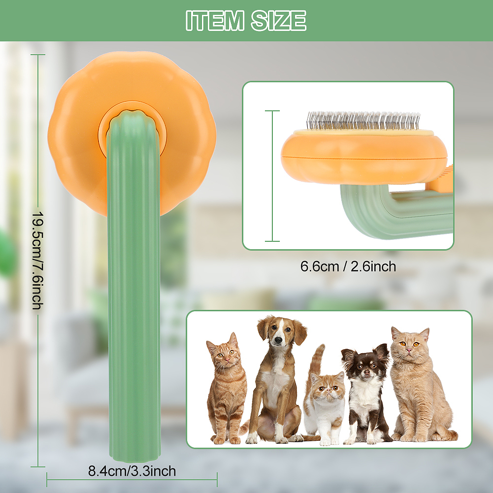 亚马逊狗狗用品主图