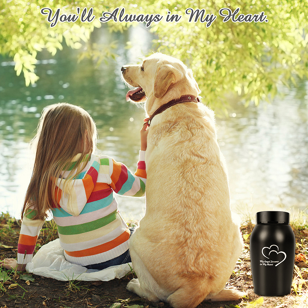 亚马逊狗狗用品主图