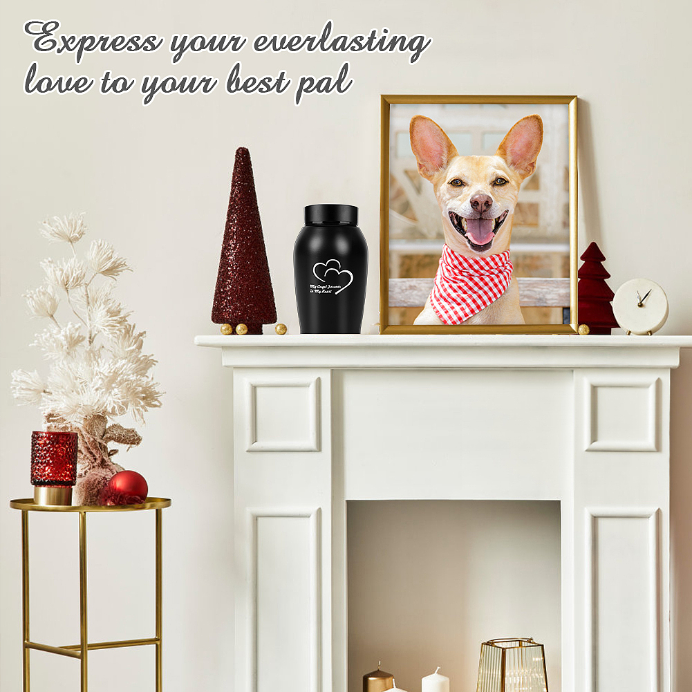 亚马逊狗狗用品主图